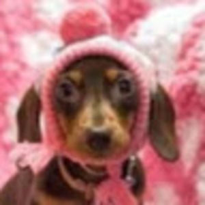 Meet your Posher, Sherry